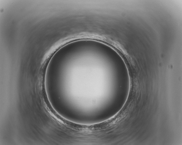 X0000087421504200704201413