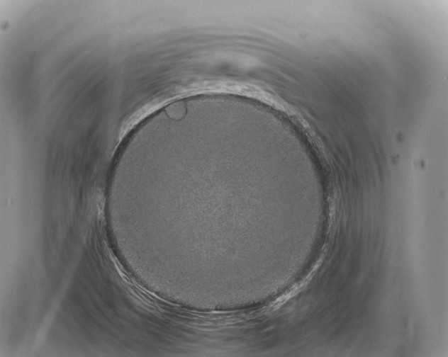 X0000087421505200704201413