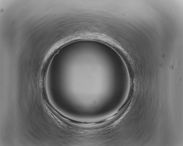 X0000087421506200704201413