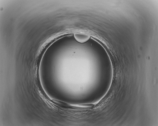 X0000087421507200704201413