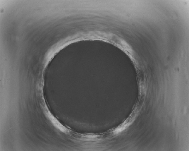 X0000087421508200704201413