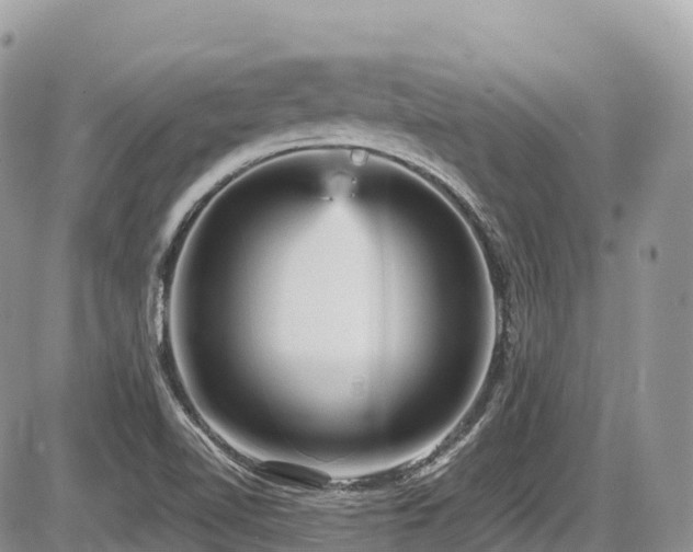 X0000087421510200704201413