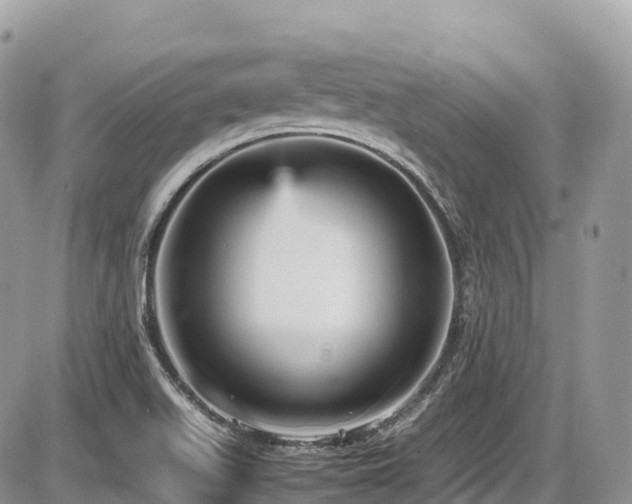 X0000087421511200704201413