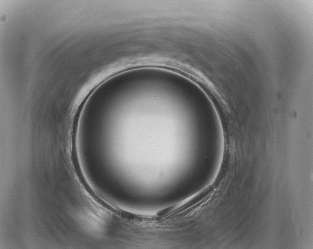 X0000087421512200704201413