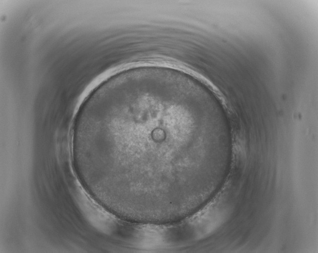 X0000087421514200704201413