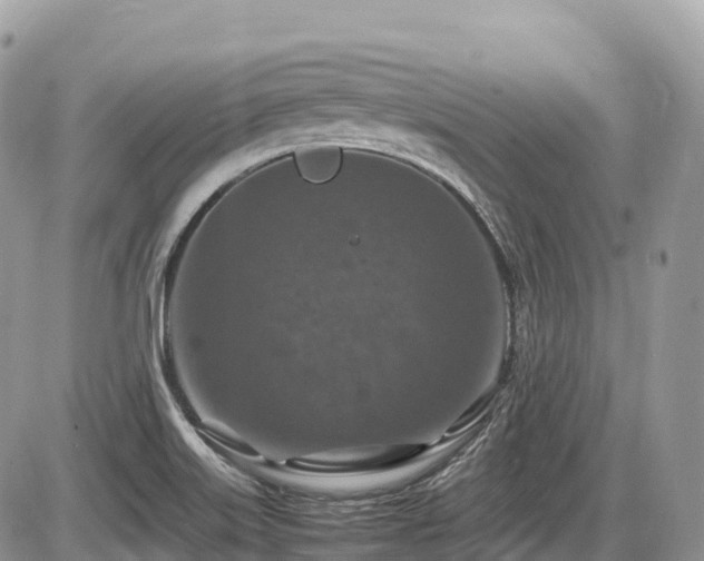 X0000087421515200704201413