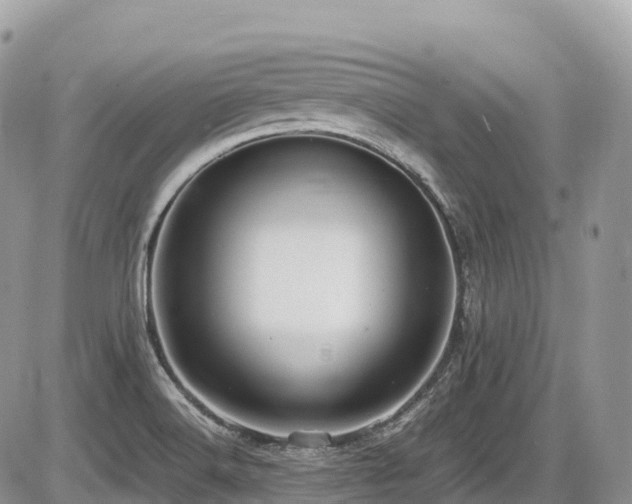 X0000087421516200704201413