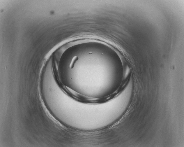 X0000087421518200704201413