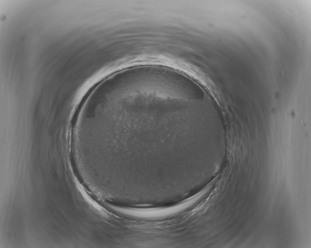 X0000087421519200704201413