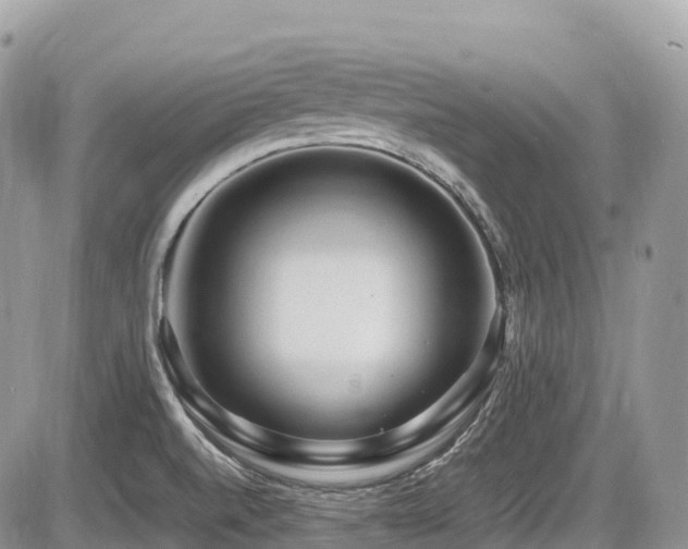 X0000087421520200704201413