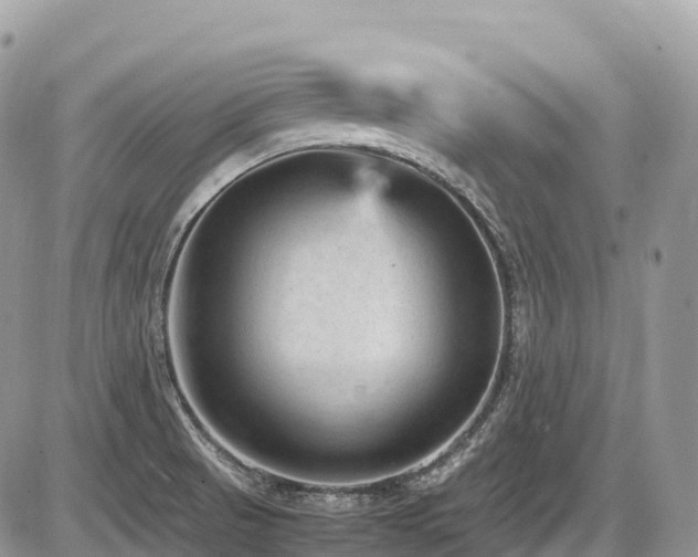 X0000087421521200704201413