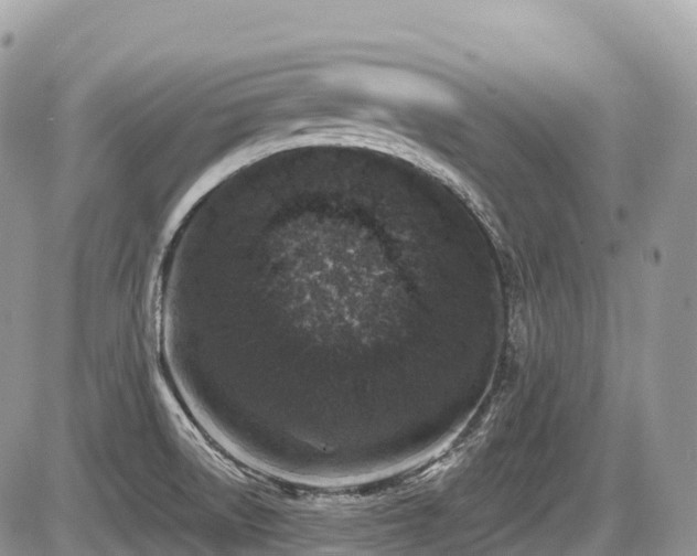 X0000087421522200704201413