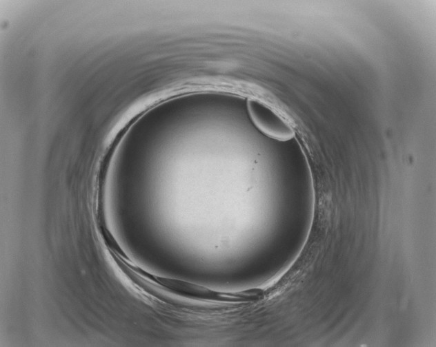 X0000087421523200704201413