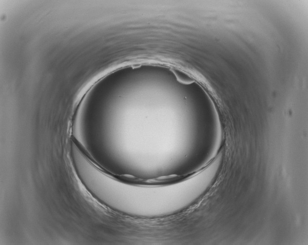 X0000087421524200704201413