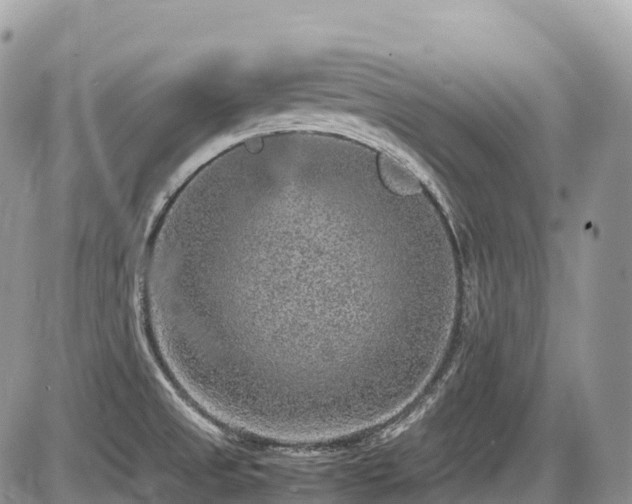 X0000087421525200704201413