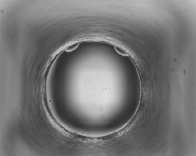 X0000087421526200704201413