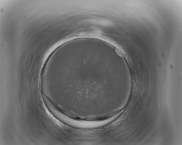 X0000087421527200704201413