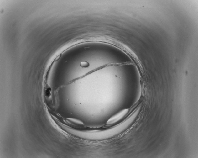 X0000087421528200704201413