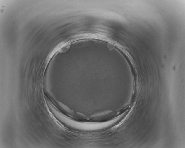 X0000087421529200704201413