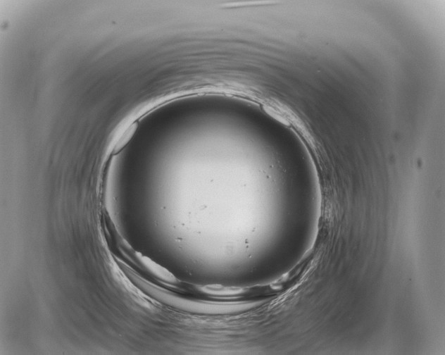 X0000087421532200704201413