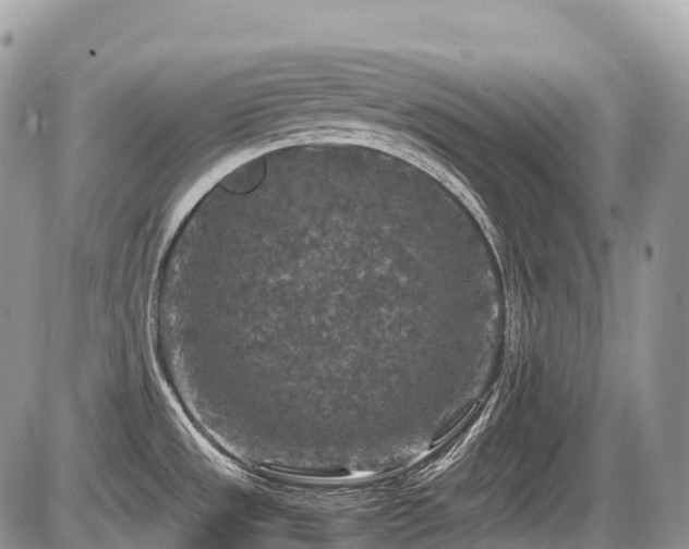 X0000087421533200704201413