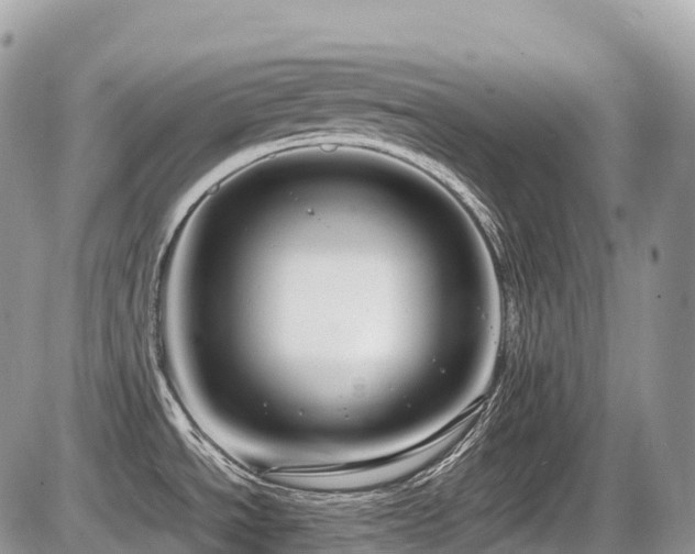 X0000087421534200704201413