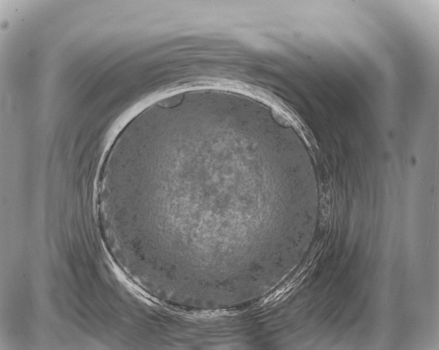 X0000087421535200704201413