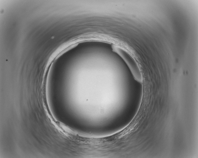 X0000087421536200704201413