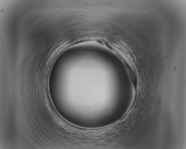 X0000087420001200704271749