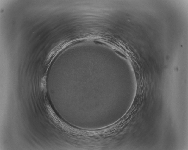 X0000087420002200704271749