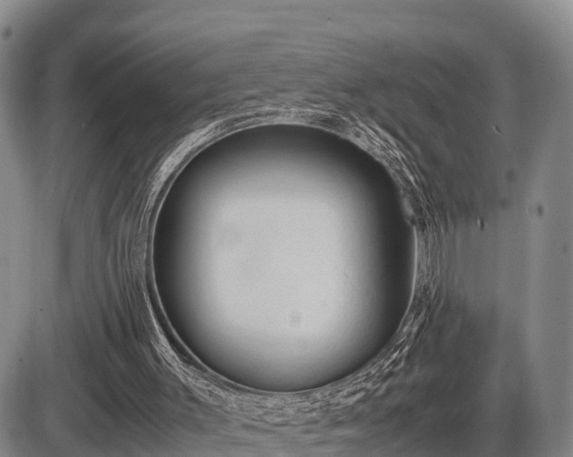 X0000087420003200704271749