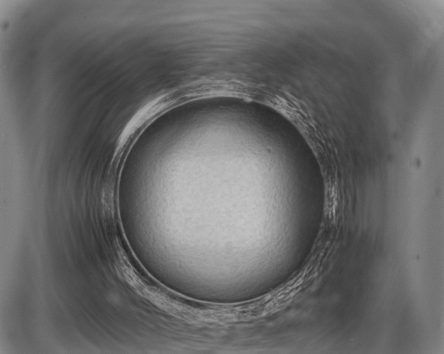 X0000087420004200704271749