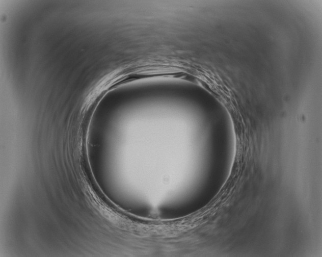 X0000087420005200704271749