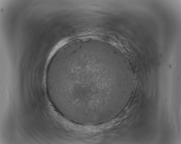 X0000087420006200704271749