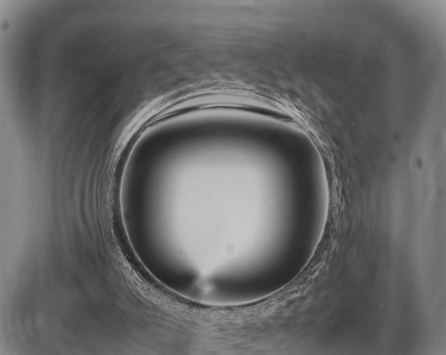 X0000087420007200704271749