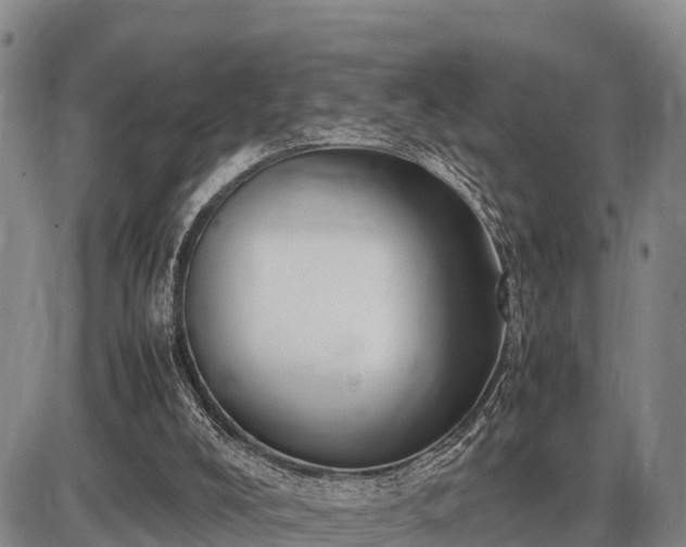 X0000087420008200704271749