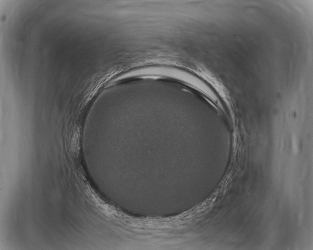 X0000087420009200704271749