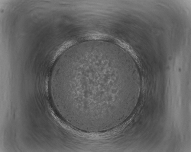 X0000087420010200704271749