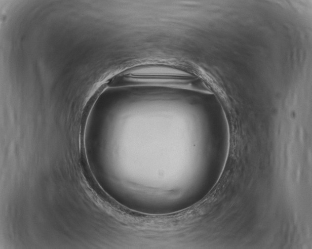 X0000087420011200704271749