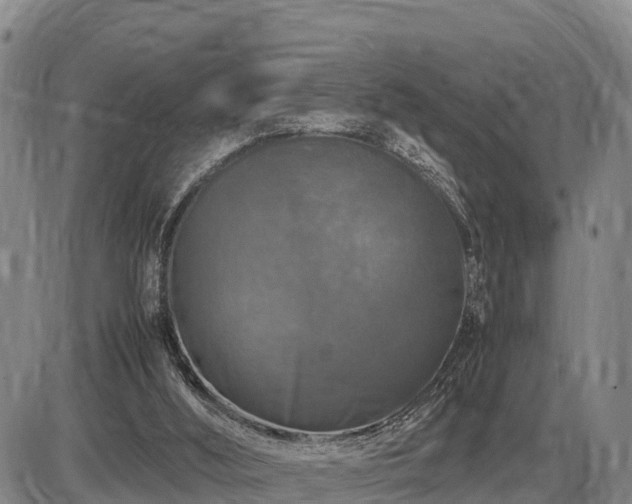 X0000087420012200704271748