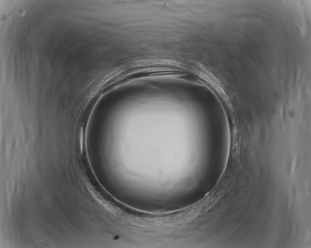 X0000087420013200704271748