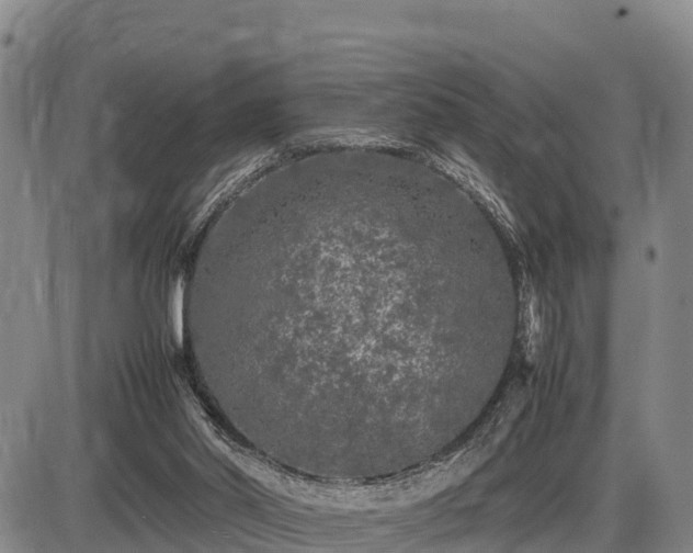 X0000087420014200704271748