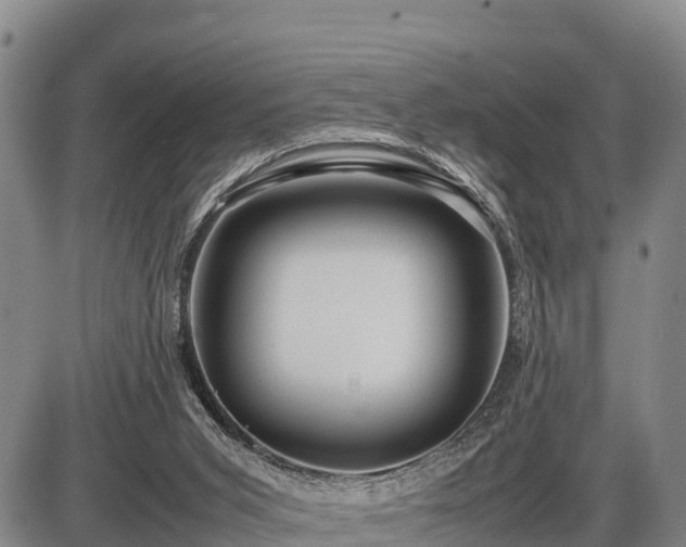 X0000087420015200704271748