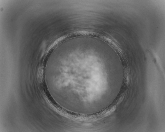 X0000087420016200704271748