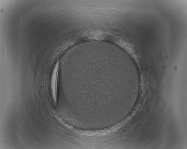 X0000087420017200704271748