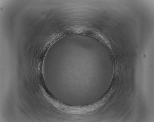 X0000087420018200704271748