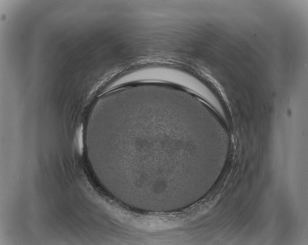 X0000087420020200704271748