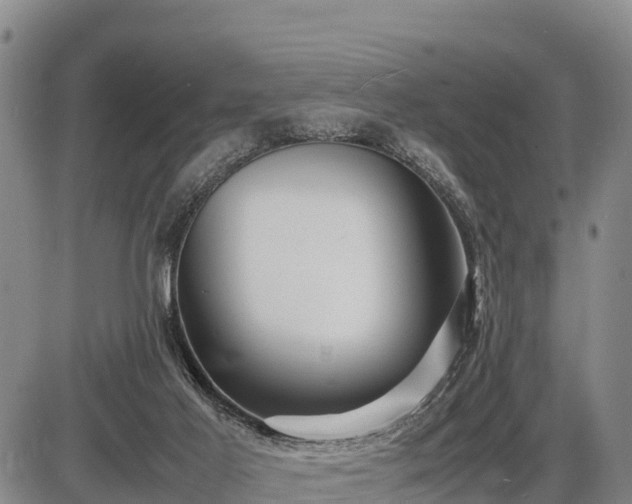 X0000087420021200704271748