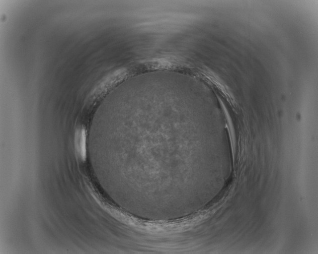 X0000087420022200704271748