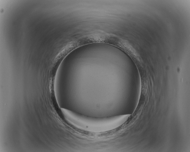 X0000087420023200704271748